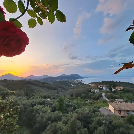 75 Steps 4* Mesongí